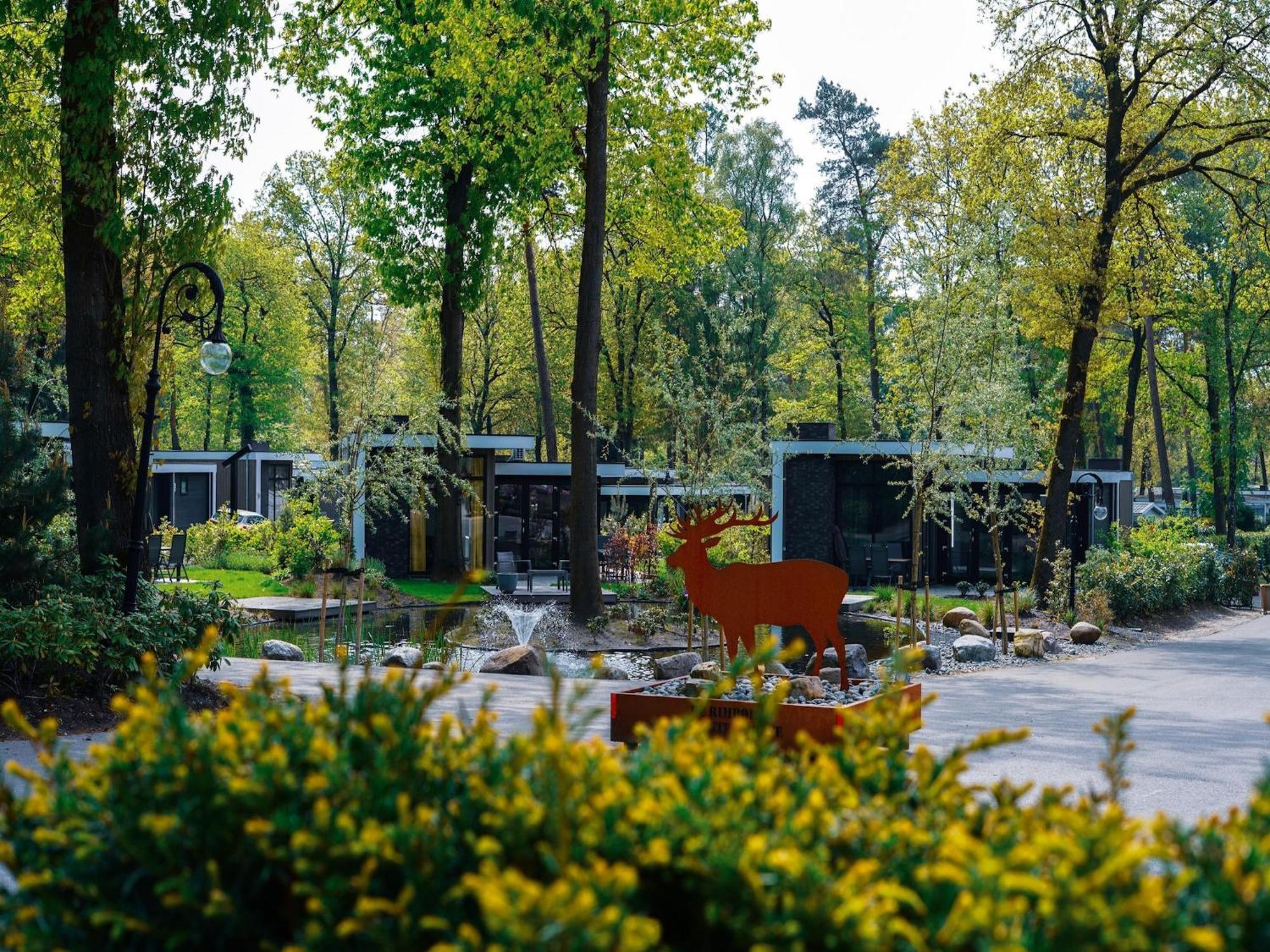 Modern House With Dishwasher In A Nature Reserve Hoenderloo Eksteriør bilde